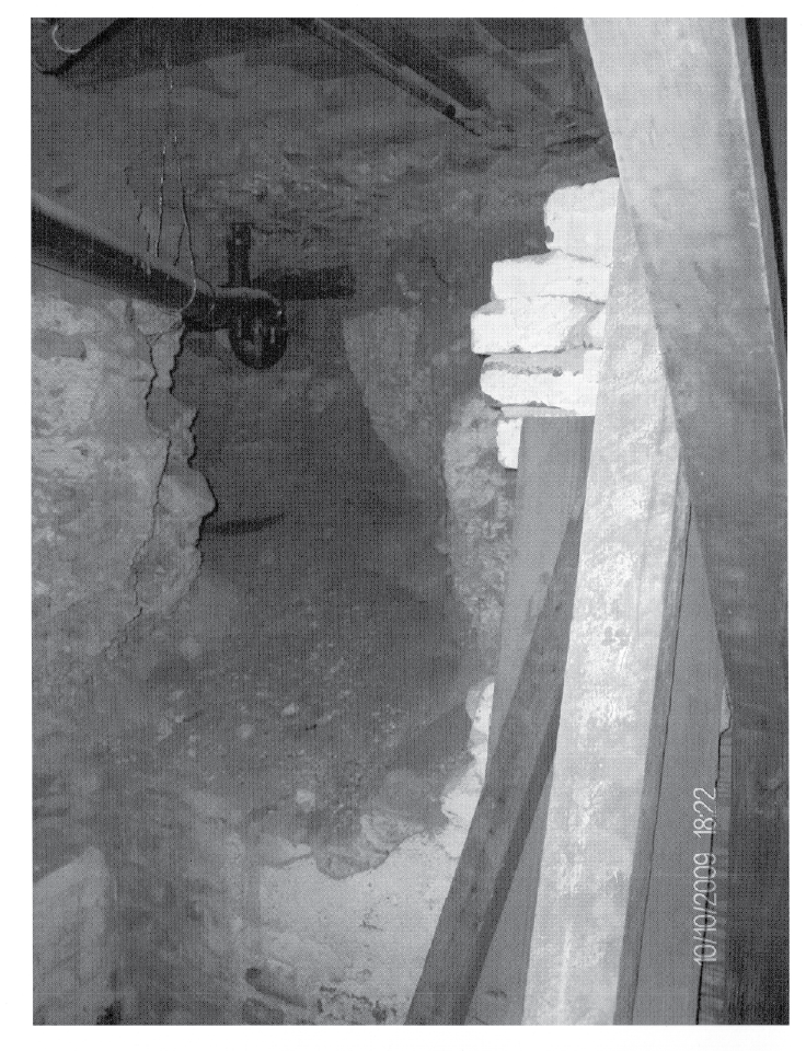 basement_bone_dig_spot